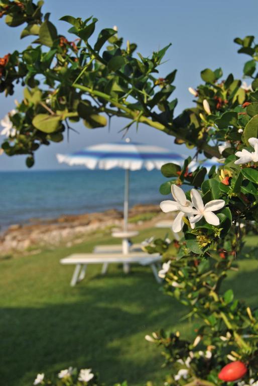 Hotel Acquamarina Donnalucata  Dış mekan fotoğraf